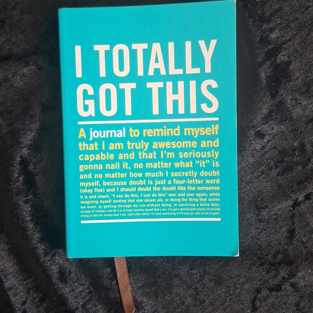 I Totally Got This Mini Inner-Truth Journal by Knock Knock